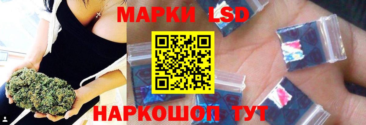 МЕФ Грязи