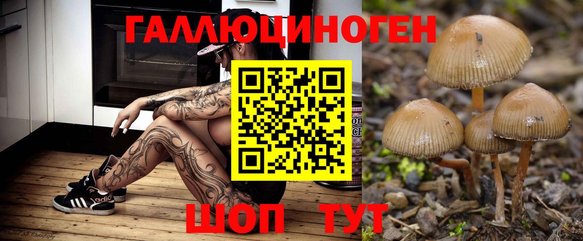 Галлюциногенные грибы MAGIC MUSHROOMS  Вход с VPN  Грязи 