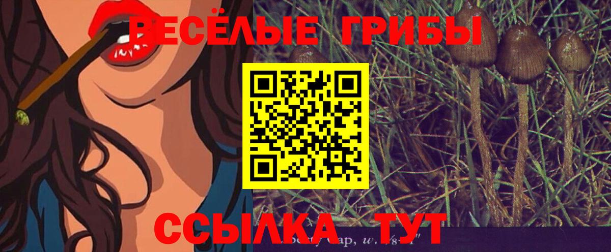 Псилоцибиновые грибы GOLDEN TEACHER Грязи